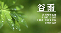 【二十四節(jié)氣灸】谷雨時節(jié)，用艾為您的健康加上一道保險！