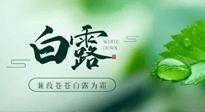 【二十四節(jié)氣灸】白露涼爽，養(yǎng)心肝脾胃、滋陰潤肺是關(guān)鍵！