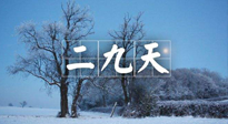 【三九養(yǎng)生】冬二九，扶陽(yáng)補(bǔ)腎氣，讓你陽(yáng)氣充足一整年！